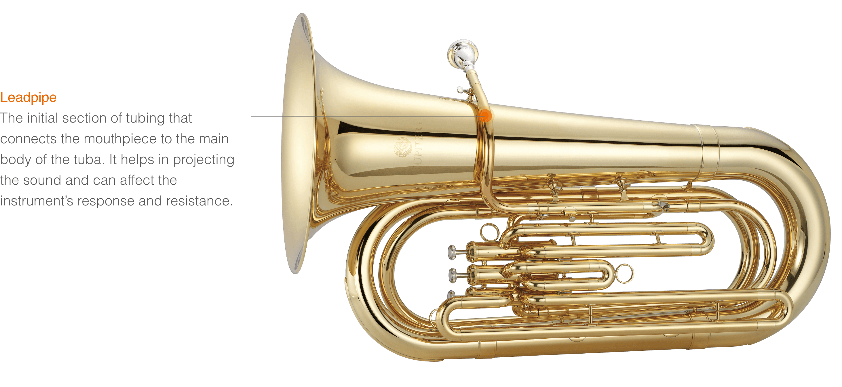 Explore Wind Instruments for Beginners | Jupiter Music
