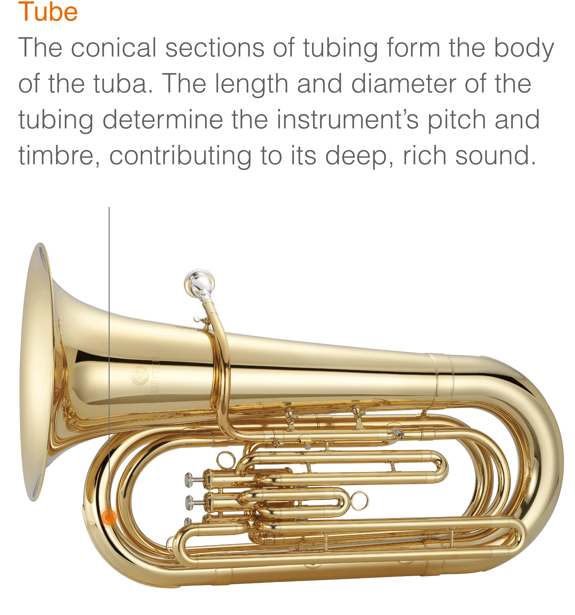 Low Note Tube Instrument Explore Wind Instruments for Beginners | Jupiter Music