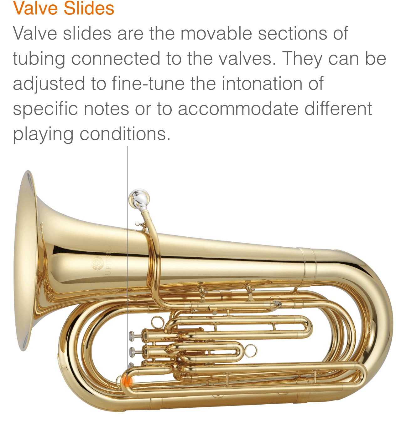 Explore Wind Instruments for Beginners | Jupiter Music