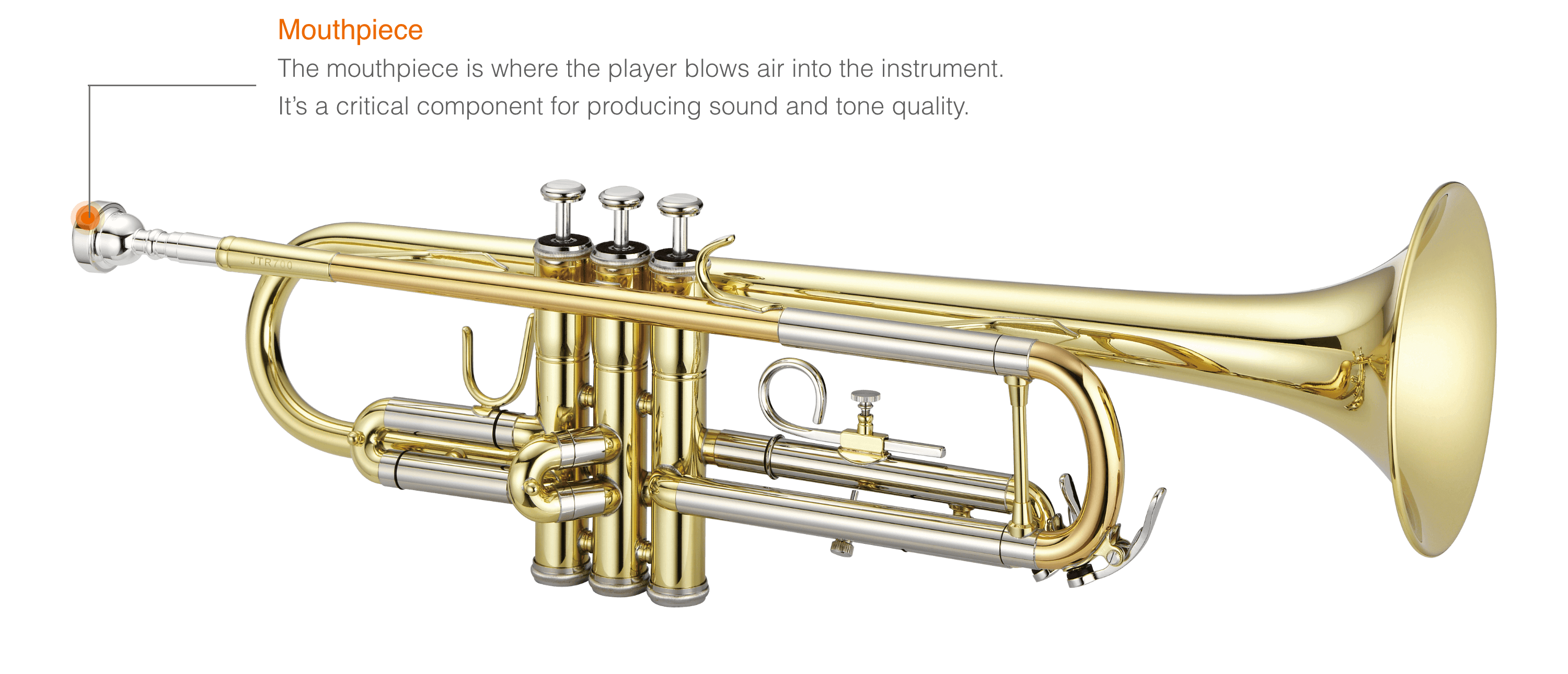 All Trumpet Instruments Explore Wind Instruments for Beginners | Jupiter Music